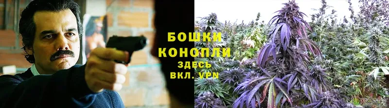 OMG маркетплейс  Вытегра  Бошки Шишки Amnesia  где купить наркотик 